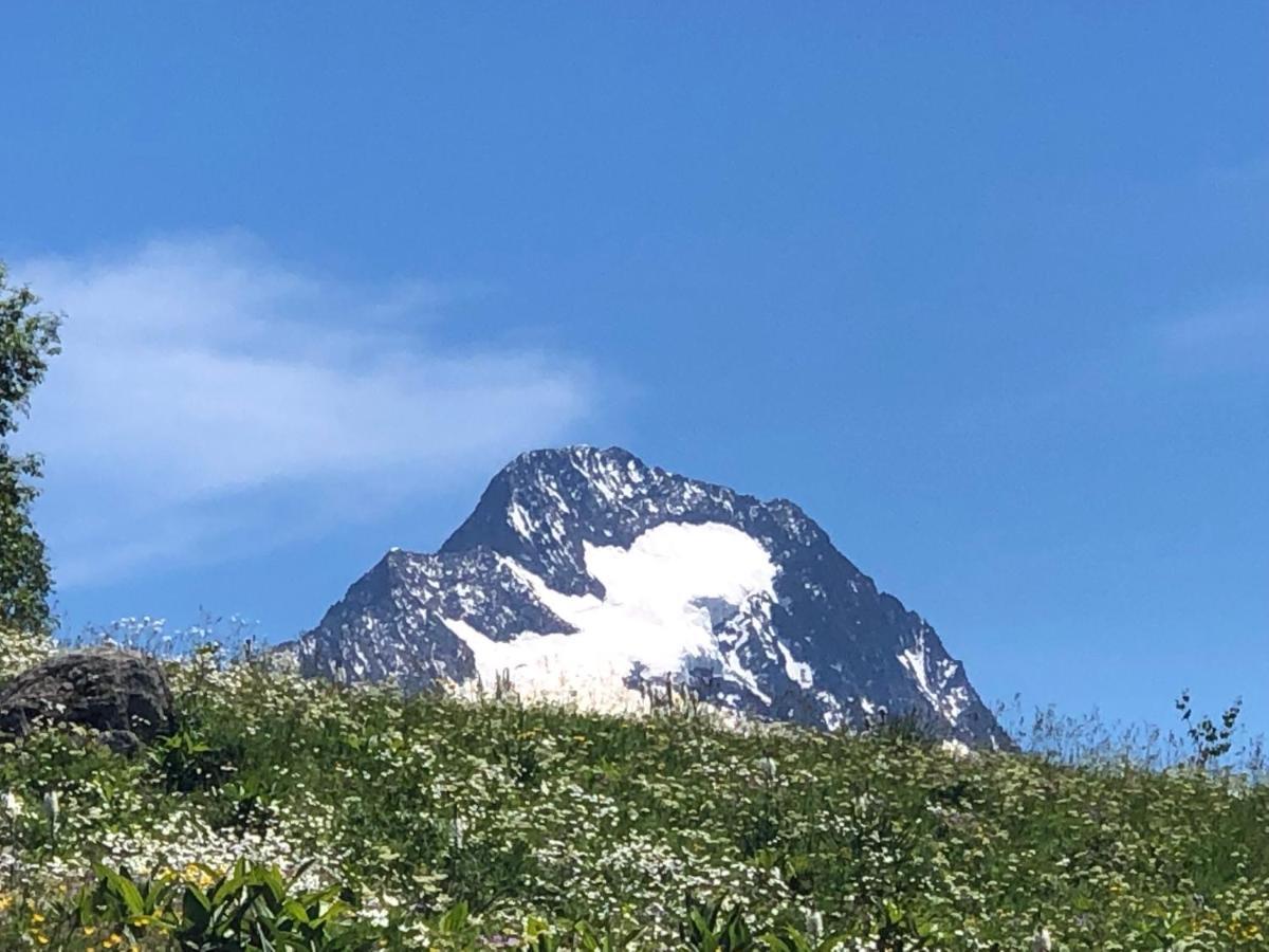 莱德萨阿尔卑斯L'Ansloboys Montagne A2公寓 外观 照片