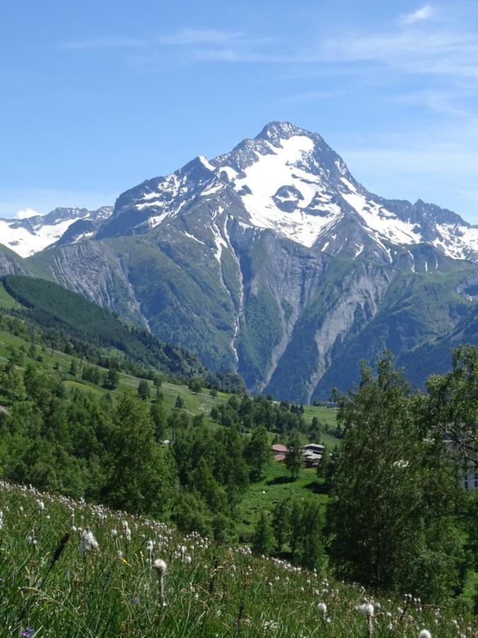 莱德萨阿尔卑斯L'Ansloboys Montagne A2公寓 外观 照片